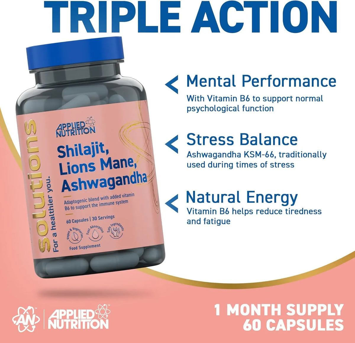 Shilajit, Lions Mane, Ashwagandha Capsules (60 Capsules)