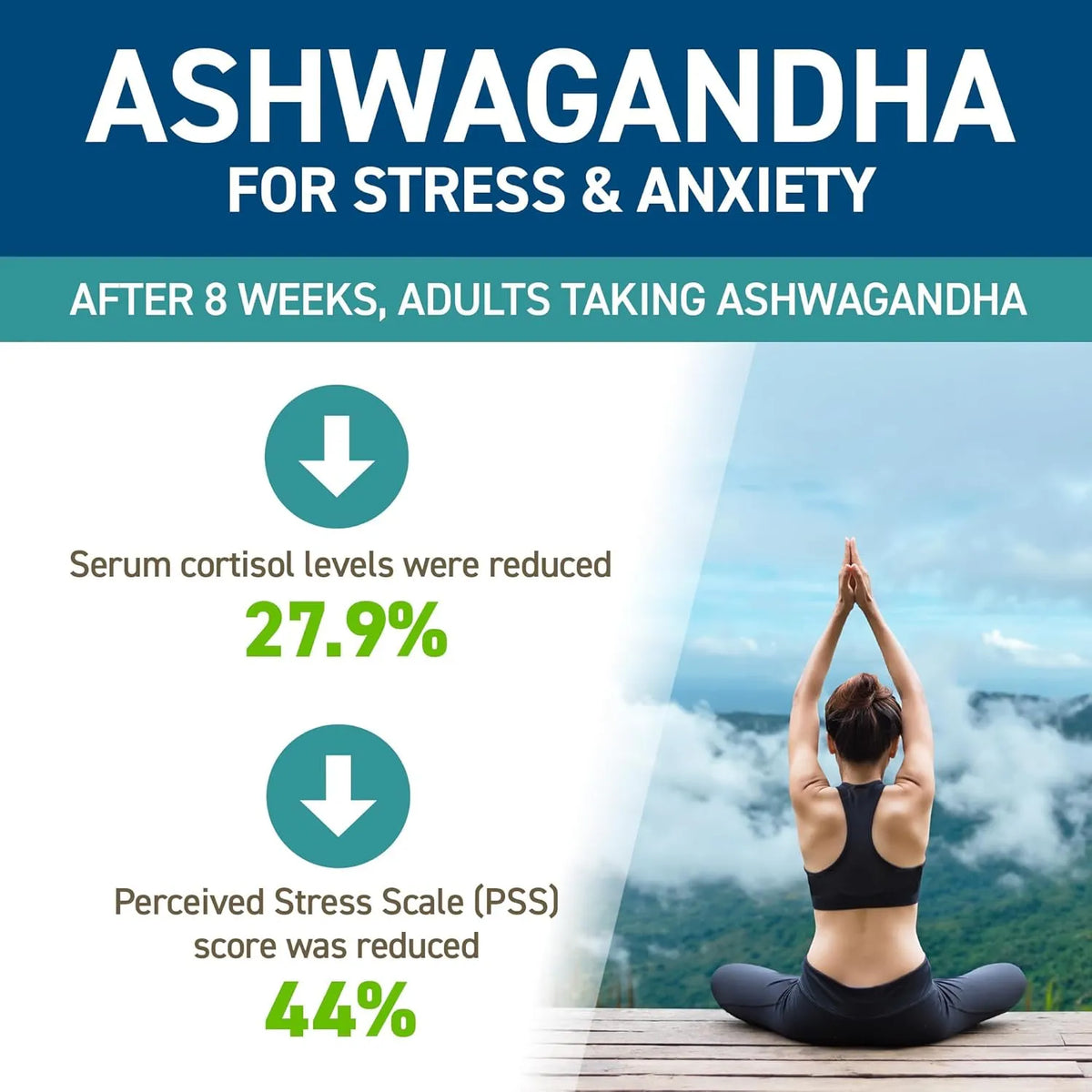 Ashwagandha KSM-66