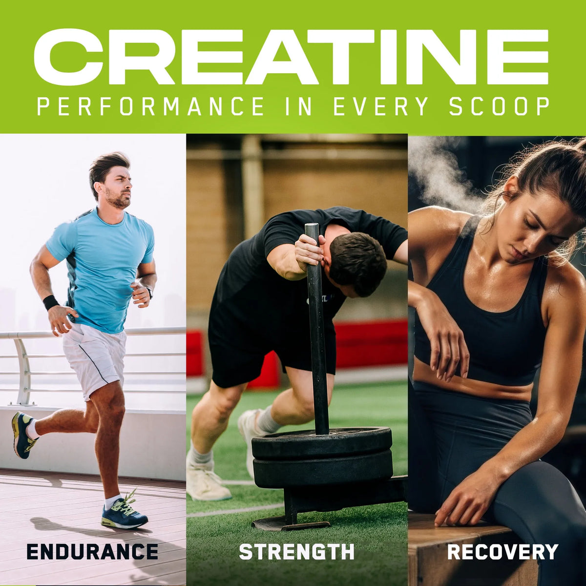 Creapure™ Creatine Monohydrate