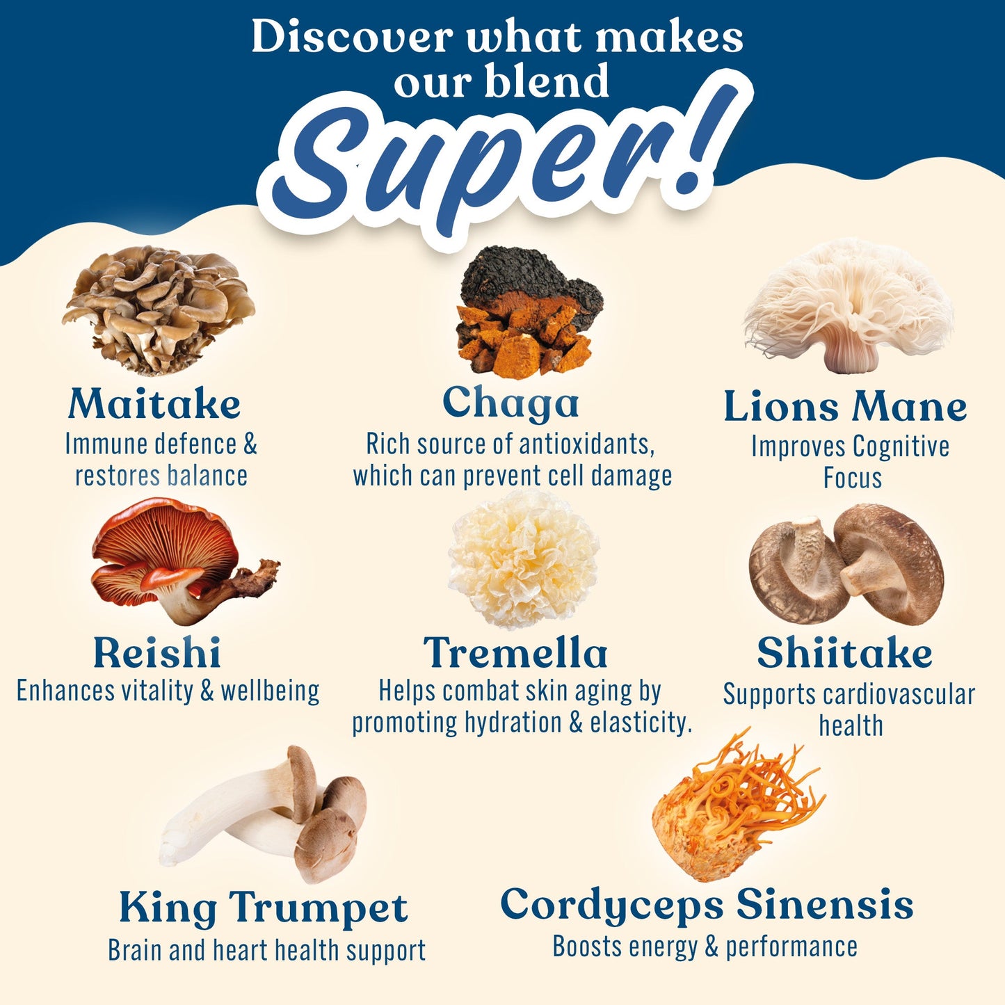 Protein + Mushrooms 450g (15 Servings)